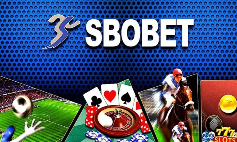Learn about the Sbobet sports lobby